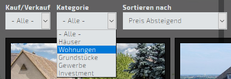  Die Immo-Kategorie-Begriffe sind frei anlegbar und spiegeln sich in den Suchoptionen der Objekt- Übersichtsseite wieder.